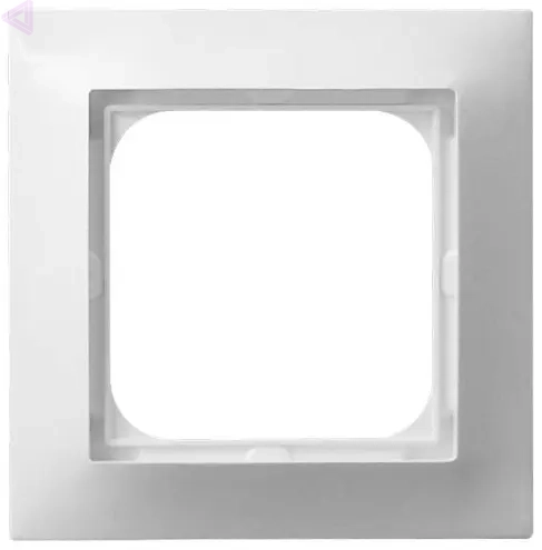r-1y_00.webp